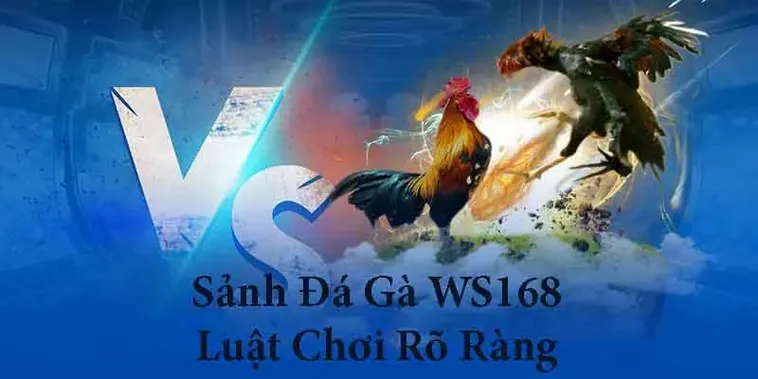 Bí Kíp Cách Chơi Đá Gà WS168 Tại BMWBet Đánh Bại Mọi Nhà Cái