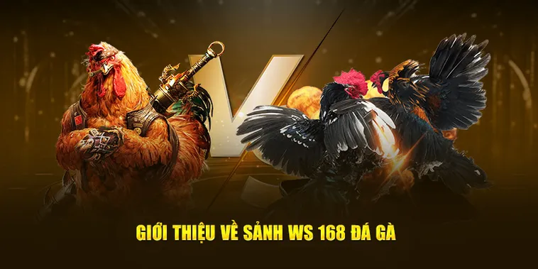 Bí Kíp Cách Chơi Đá Gà WS168 Tại BMWBet Đánh Bại Mọi Nhà Cái