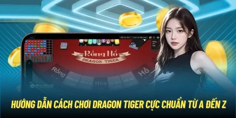 Săn Thưởng Lớn Cùng Dragon Tiger Tại BMWBet Với Tốc Độ Cược Nhanh