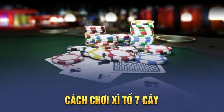 Chinh Phục Bàn Cược Xì Tố Tại BMWBet Với Tỷ Lệ Thắng Cực Cao